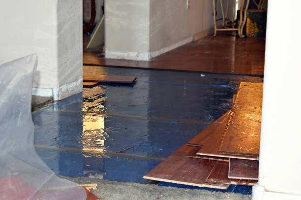 Professional Burst Pipe Cleanup technician working in Nellis, WV